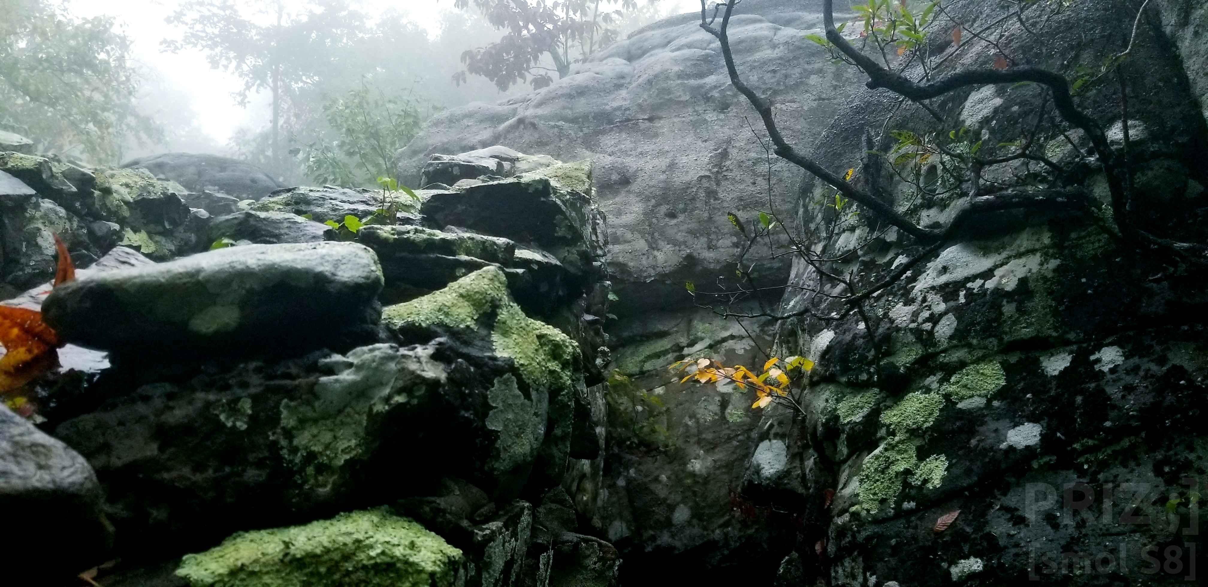 rocks.webp rocks.webp